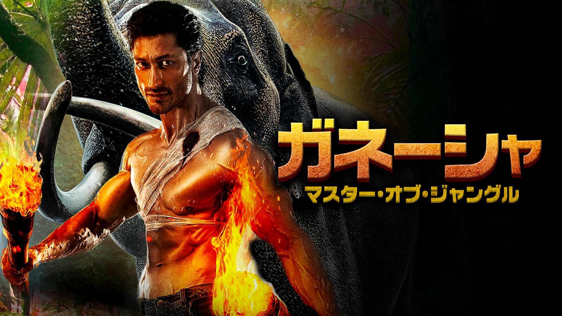 Tsutaya Tv Discasの映画ラインナップ 作品番組表 18ページ目 Aukana アウカナ 動画配信サービス比較 Tsutaya Tv Discasの映画ラインナップ 作品番組表 18ページ目 Aukana アウカナ 動画配信サービス比較