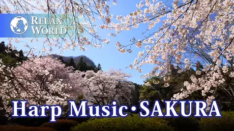 Harp Music・SAKURA【RELAX WORLD】