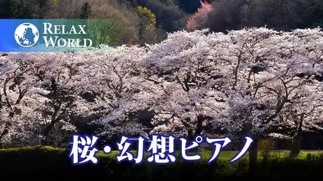 桜・幻想ピアノ【RELAX WORLD】