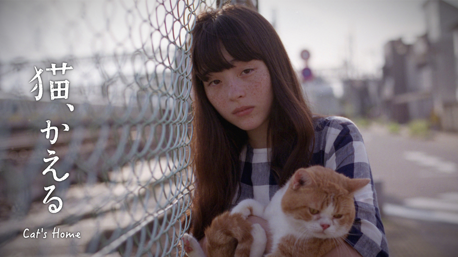 猫、かえる Cat'ｓ Home - サムネイル