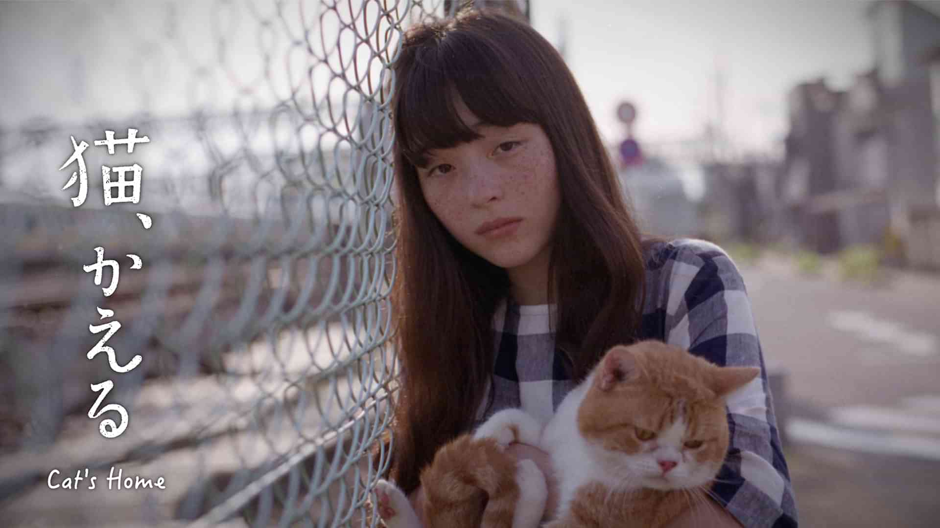 猫、かえる Cat'ｓ Home