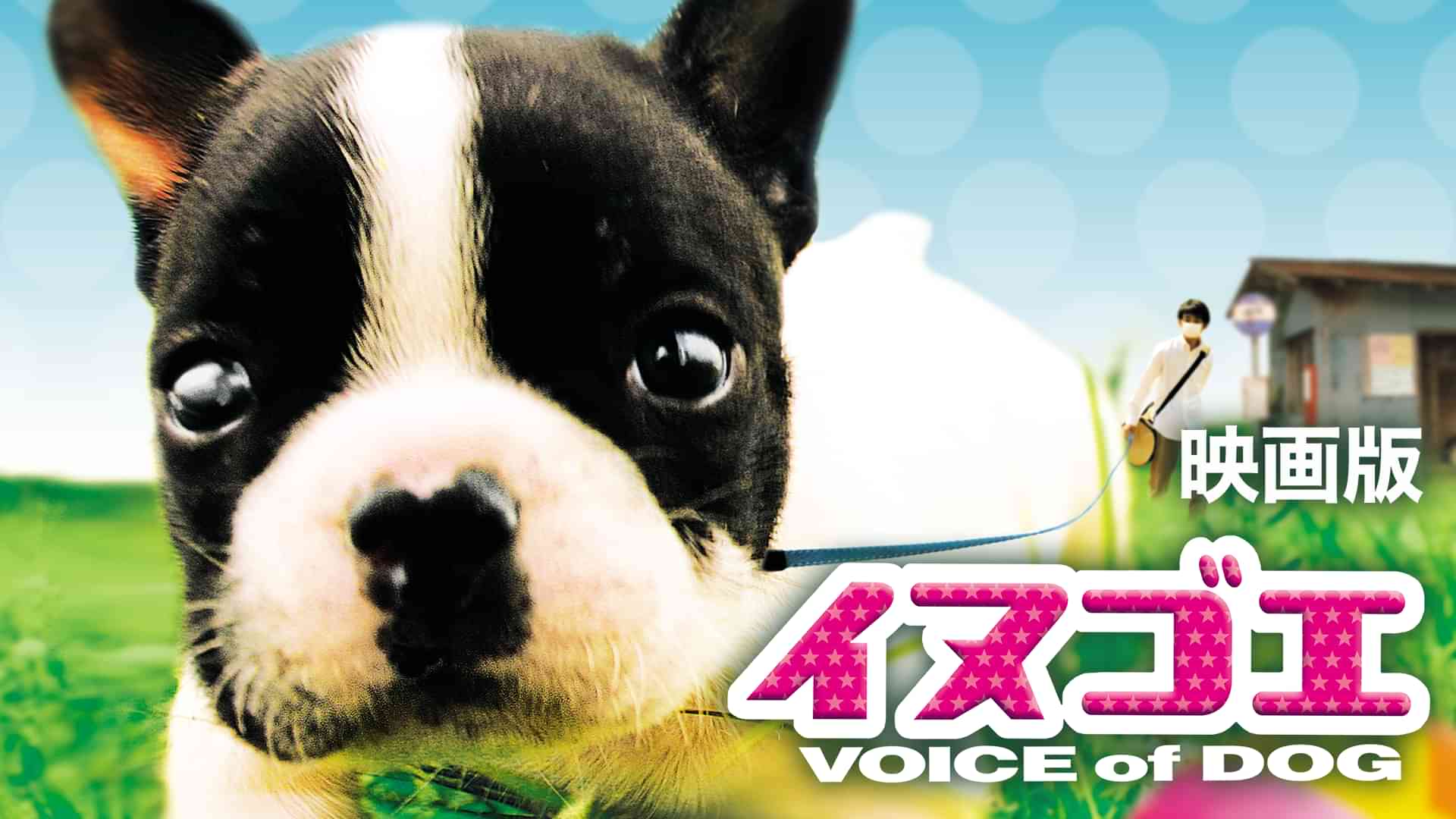 映画版　イヌゴエ