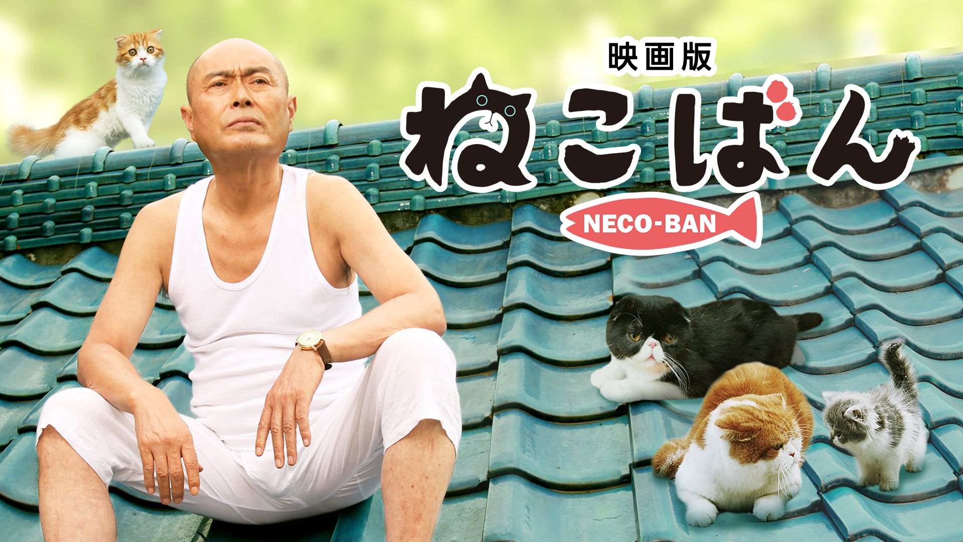 映画 ねこばん