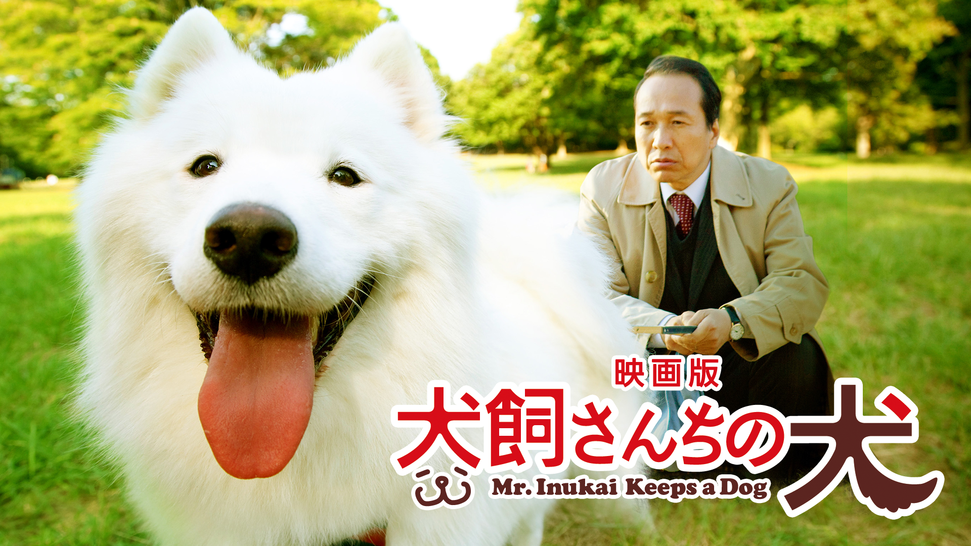 映画版 犬飼さんちの犬(邦画 / 2011) - 動画配信 | U-NEXT 31日間無料