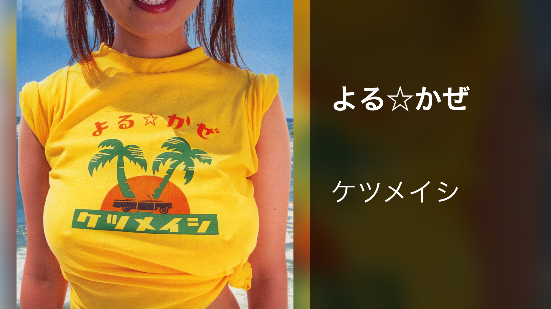 ケツメイシ よるかぜ レコード 【公式通販】