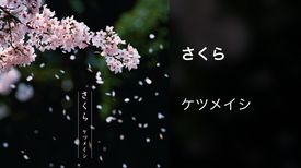 ケツメイシの動画視聴 あらすじ U Next ケツメイシの動画視聴 あらすじ U Next
