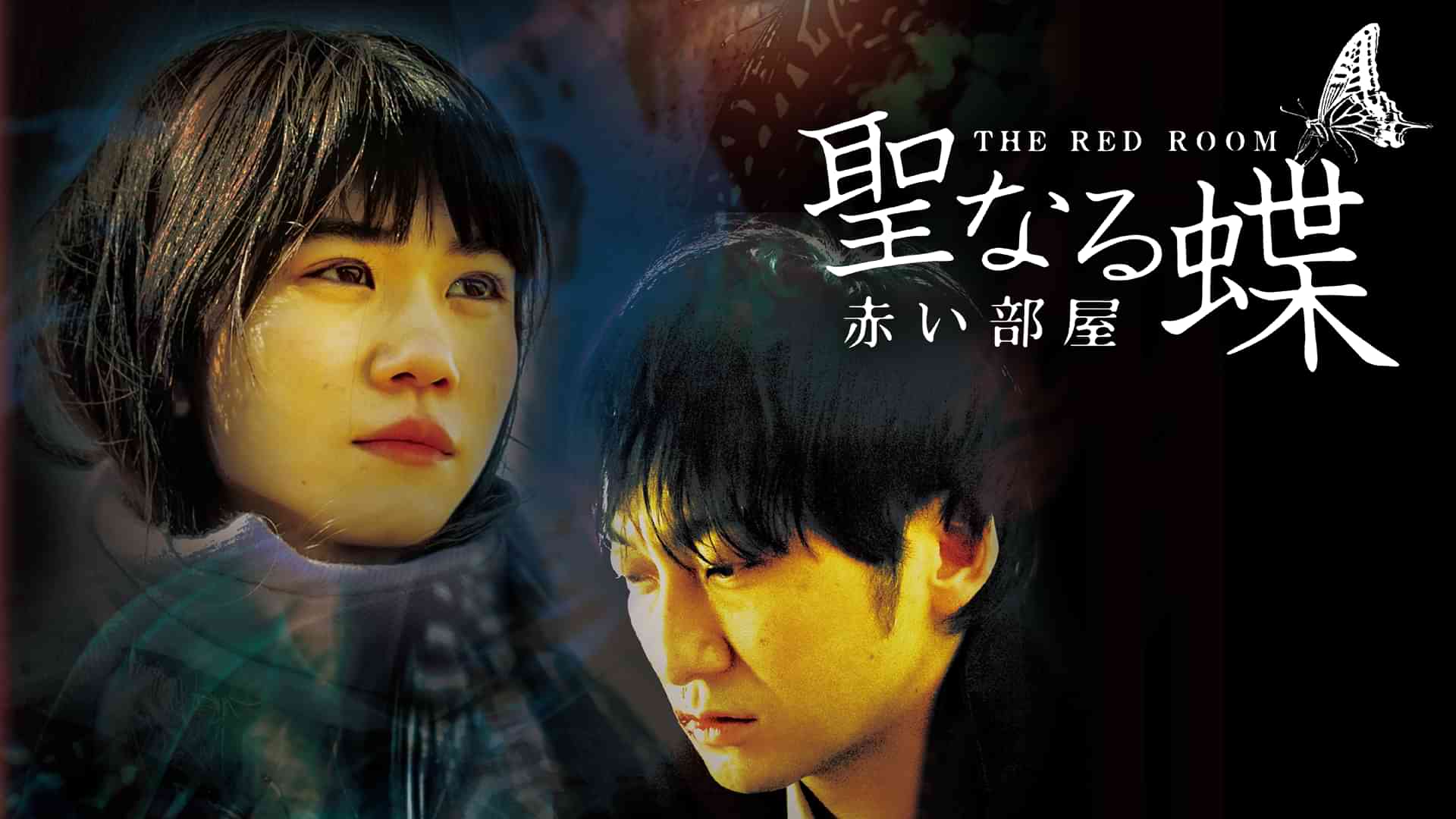 聖なる蝶　赤い部屋