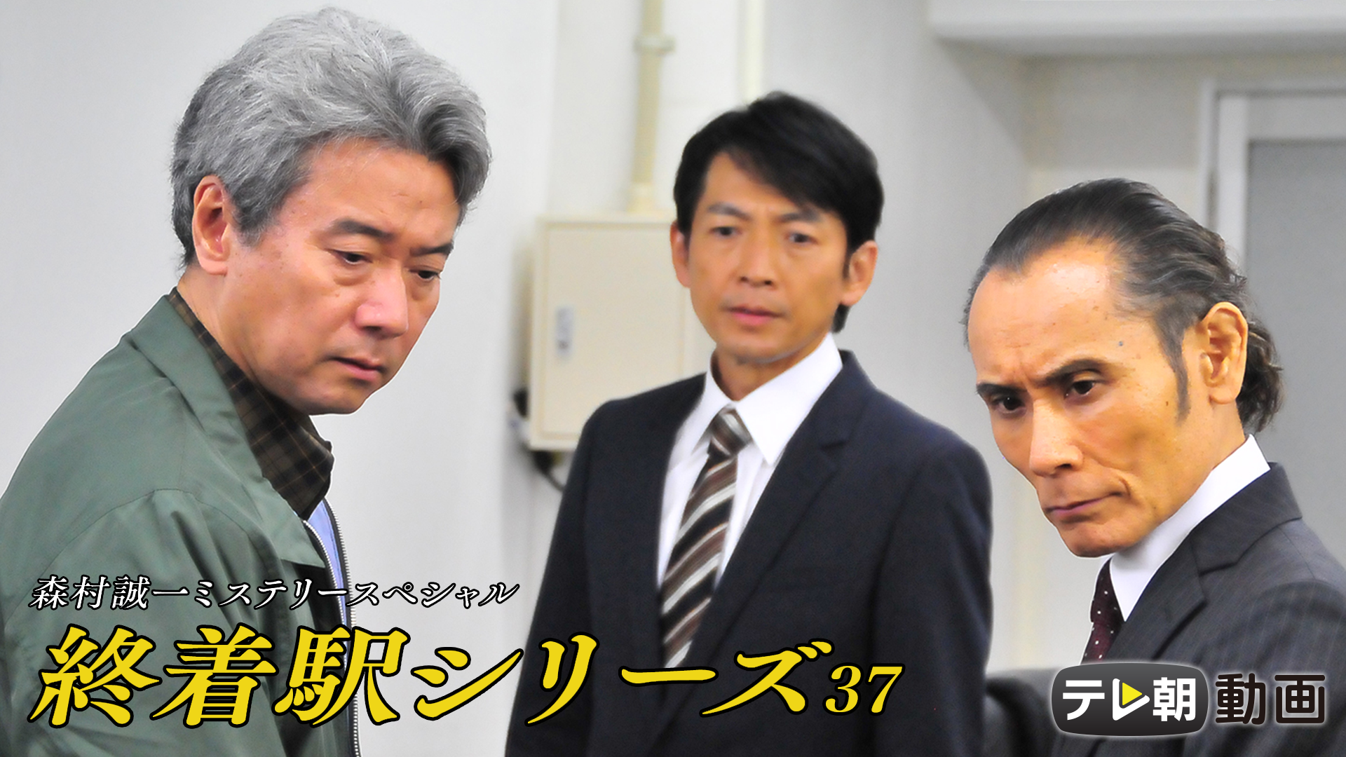 森村誠一ミステリースペシャル　終着駅シリーズ37　停年のない殺意