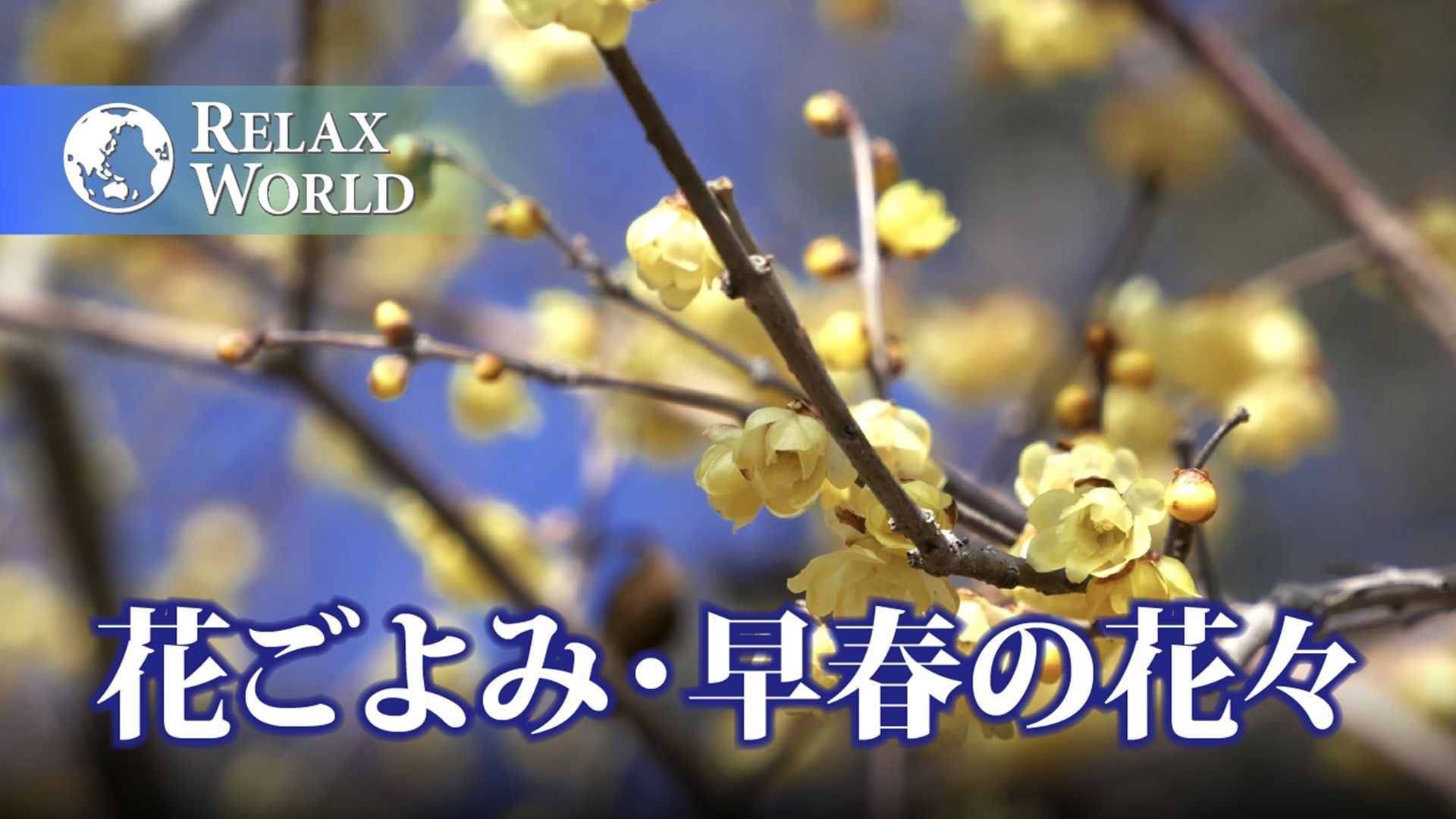 花ごよみ・早春の花々【RELAX WORLD】