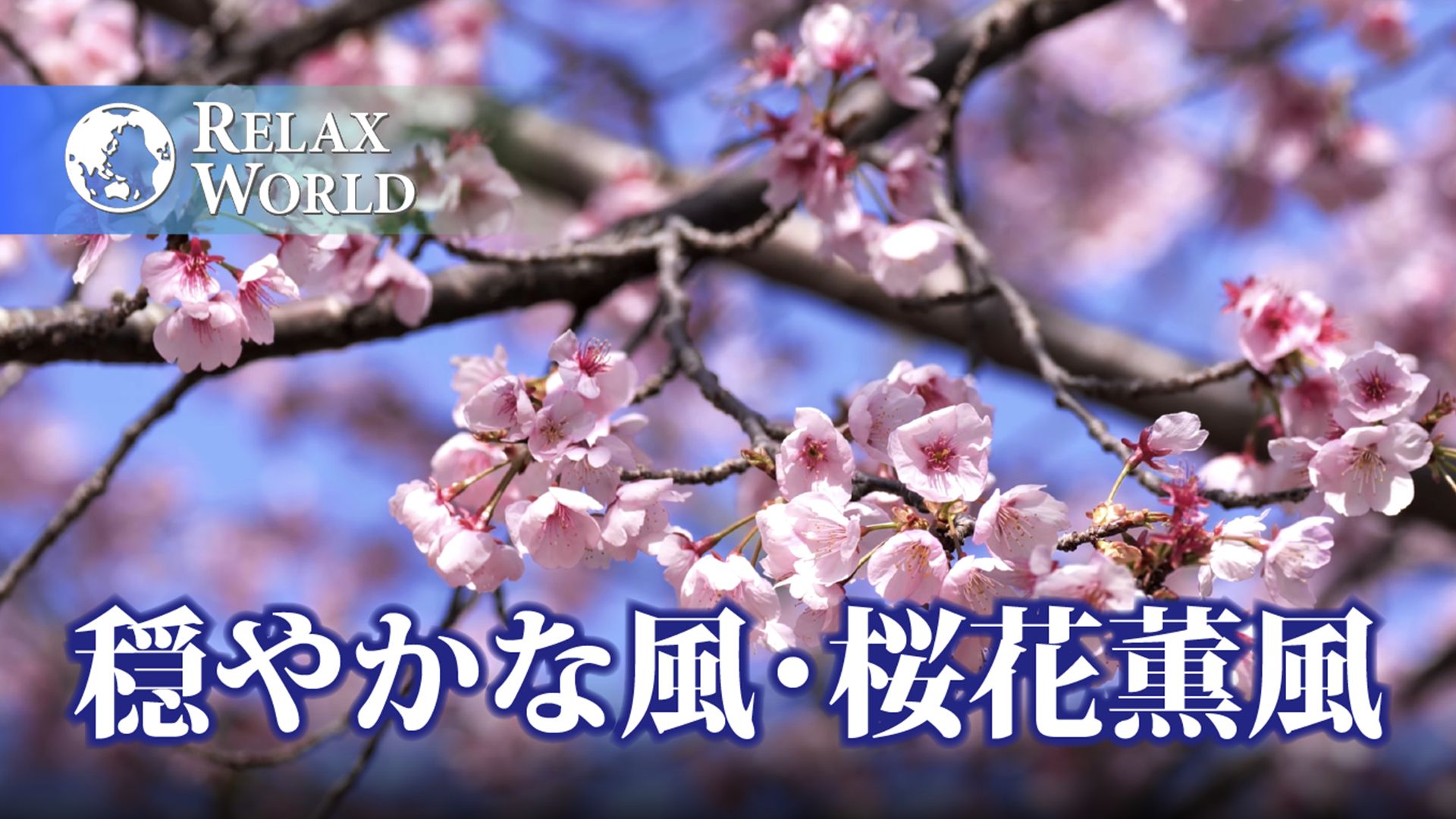 穏やかな風・桜花薫風【RELAX WORLD】