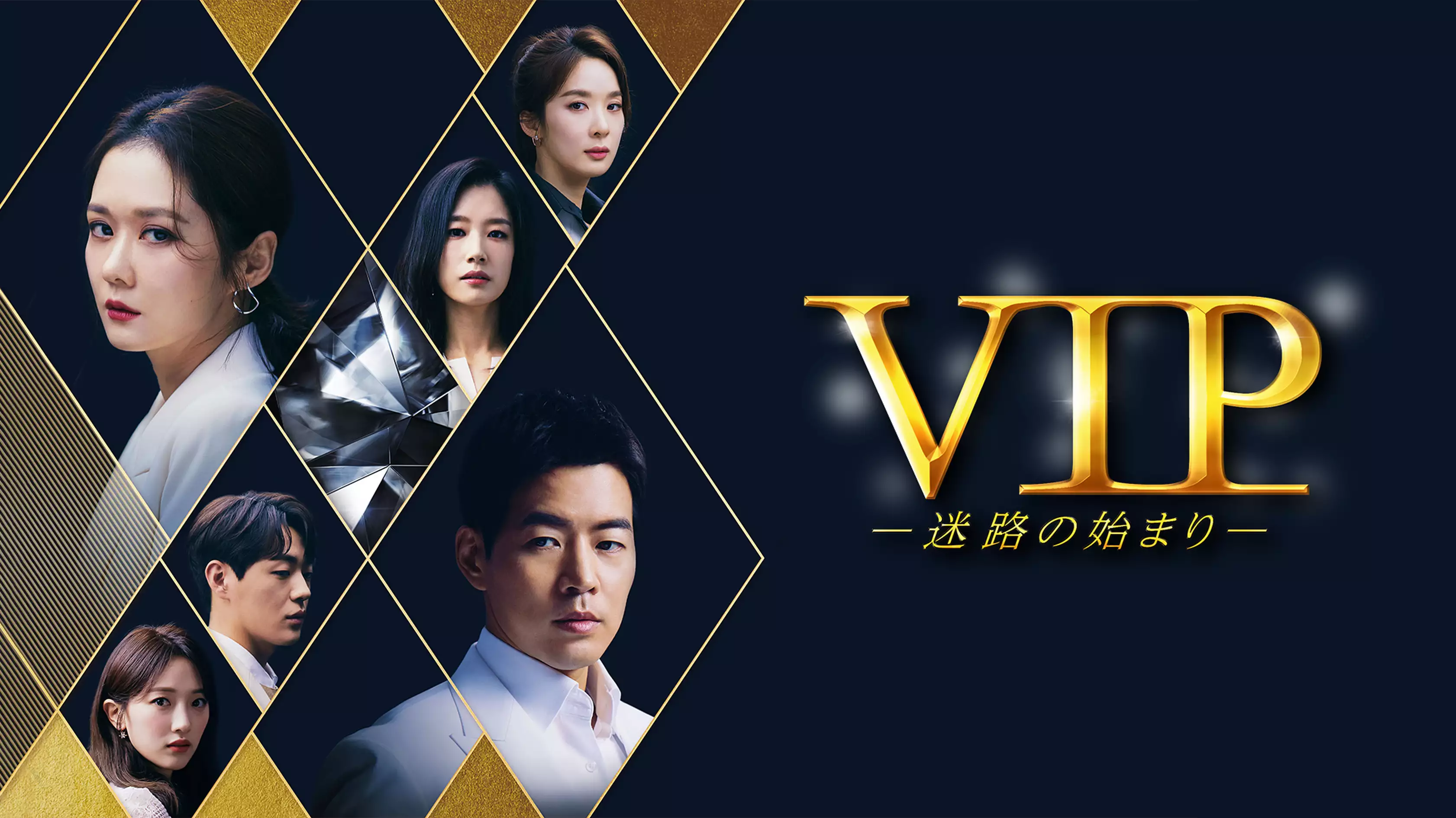 韓国ドラマ『VIP－迷路の始まり－』の日本語字幕版の動画を全話見れる配信アプリまとめ