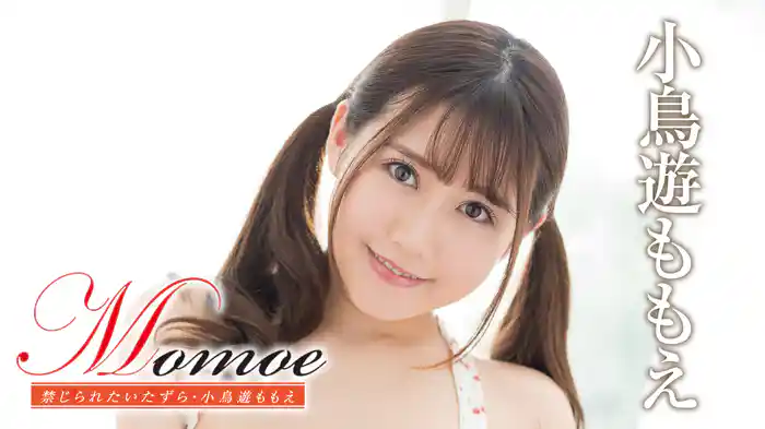 小鳥遊ももえ『Momoe 禁じられたいたずら』