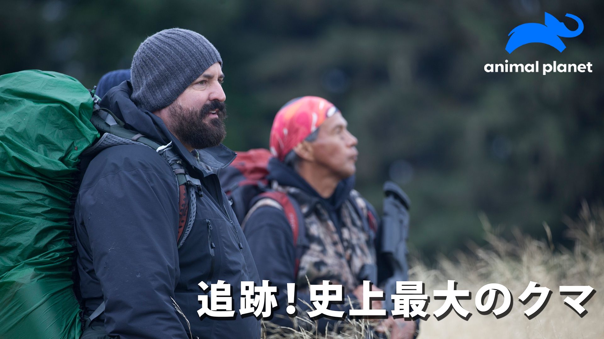 追跡!史上最大のクマ