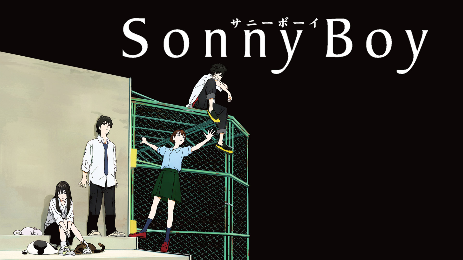 Sonny Boy 動画