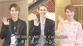 天華えまの動画視聴 あらすじ U Next 天華えまの動画視聴 あらすじ U Next