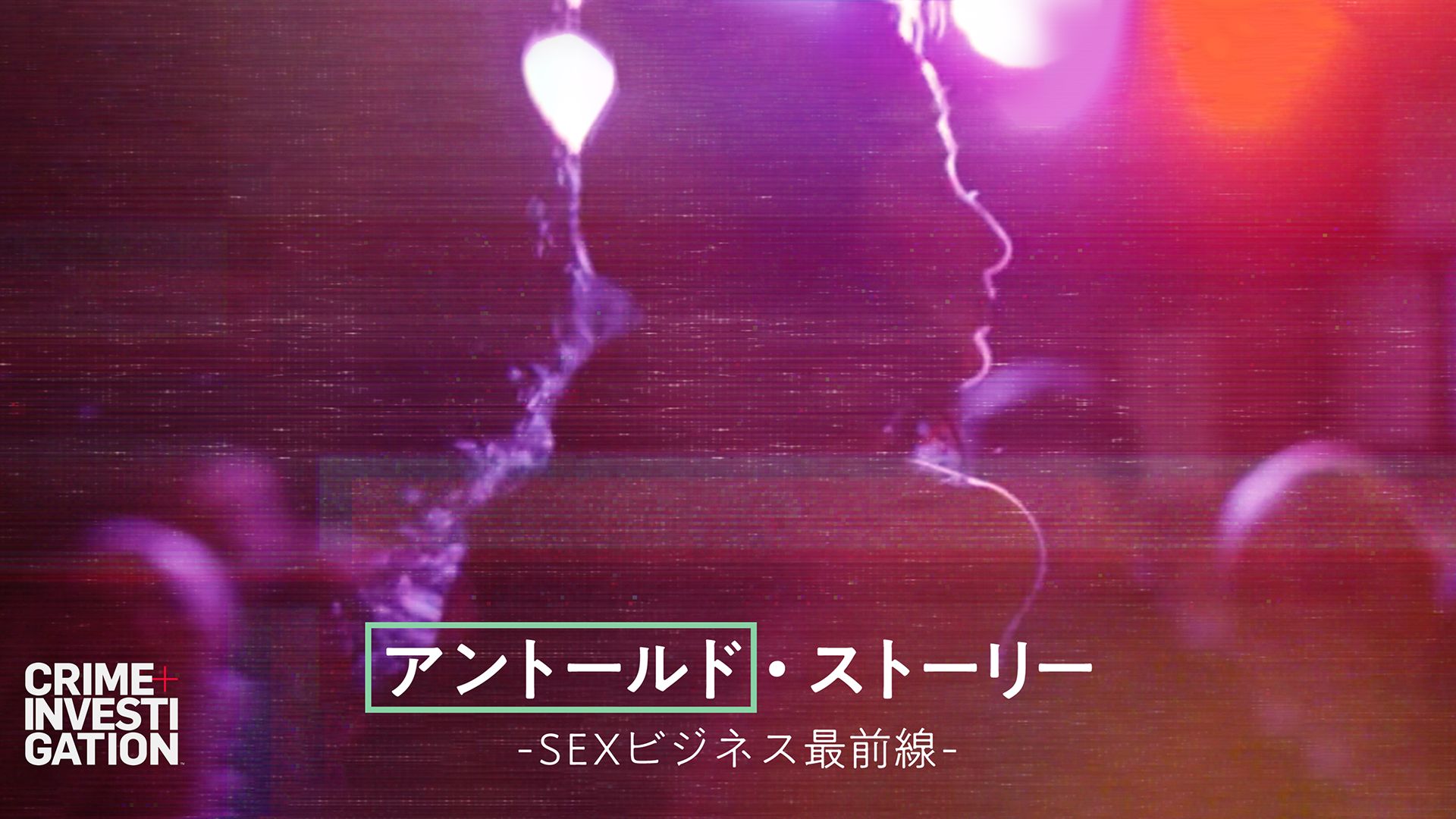 アントールド・ストーリー -SEXビジネス最前線-