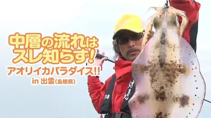 中層の流れはスレ知らず！アオリイカパラダイス!! in出雲（島根県）
