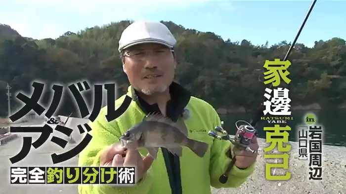 メバル＆アジ　完全釣り分け術　家邊克己 in岩国周辺（山口県）