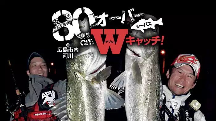 80cmオーバーWキャッチ！ in広島市内河川