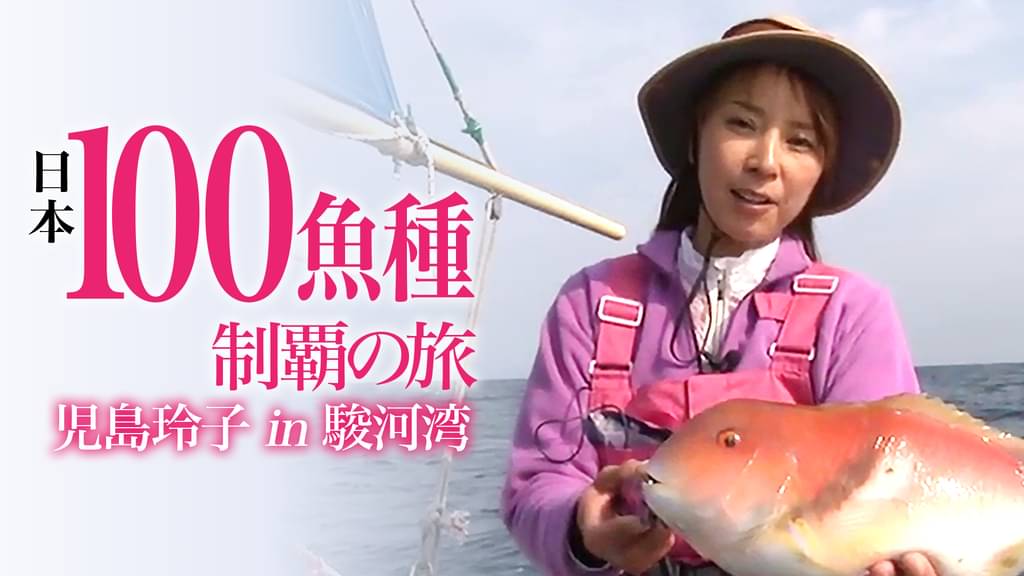 日本100魚種制覇の旅 児島玲子 In駿河湾 バラエティ 13 の動画視聴 U Next 31日間無料トライアル 日本100魚種制覇の旅 児島玲子 In駿河湾 バラエティ 13 の動画視聴 U Next 31日間無料トライアル