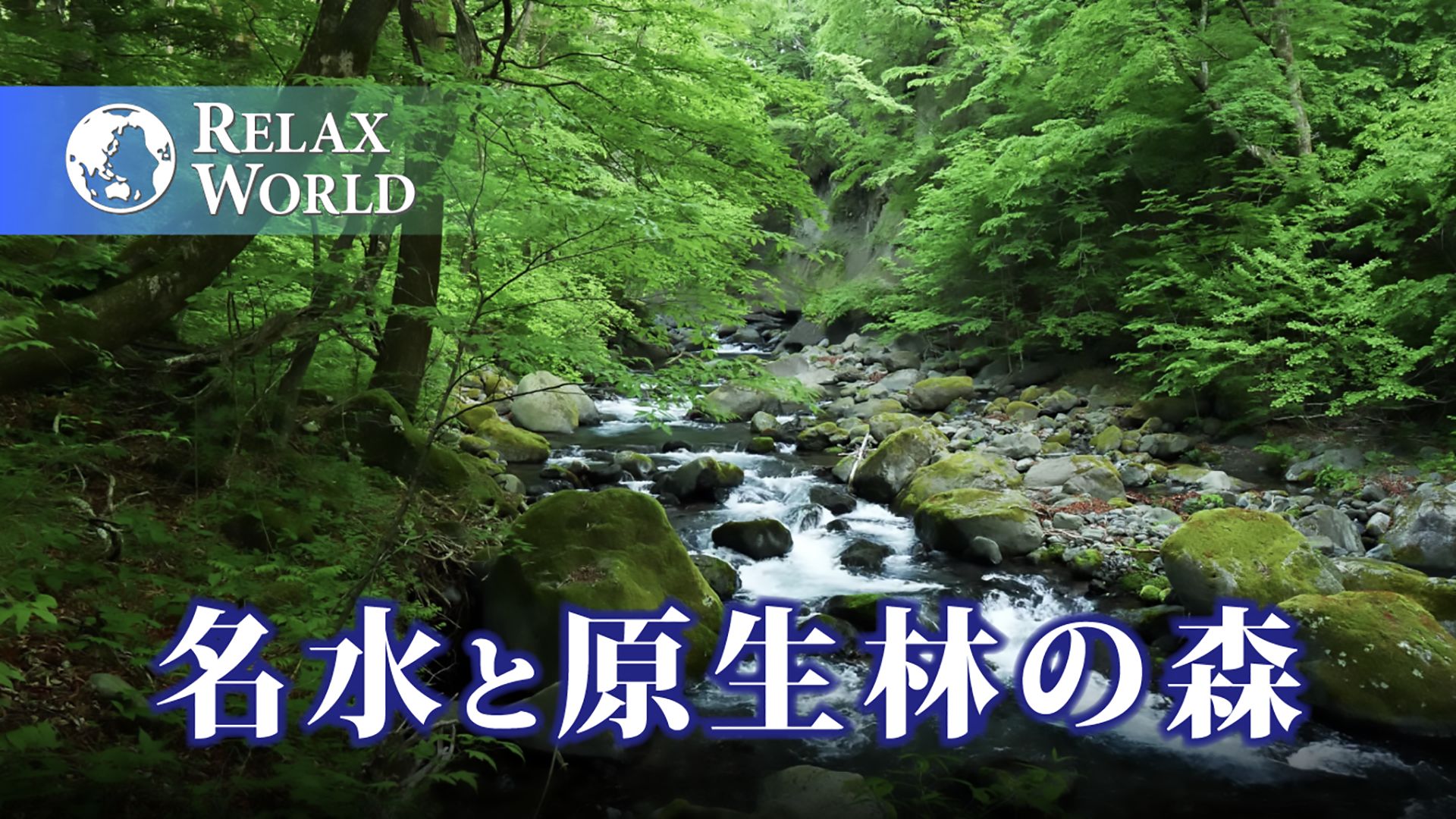 名水と原生林の森【RELAX WORLD】