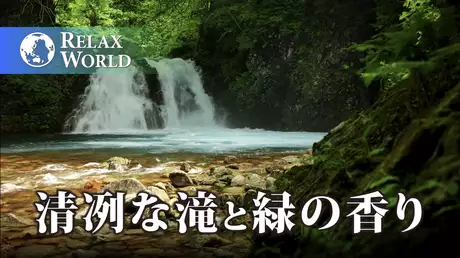 清冽な滝と緑の香り【RELAX WORLD】