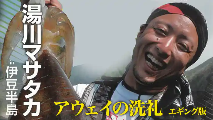 アウェイの洗礼 エギング版 湯川マサタカ in伊豆半島（静岡県）