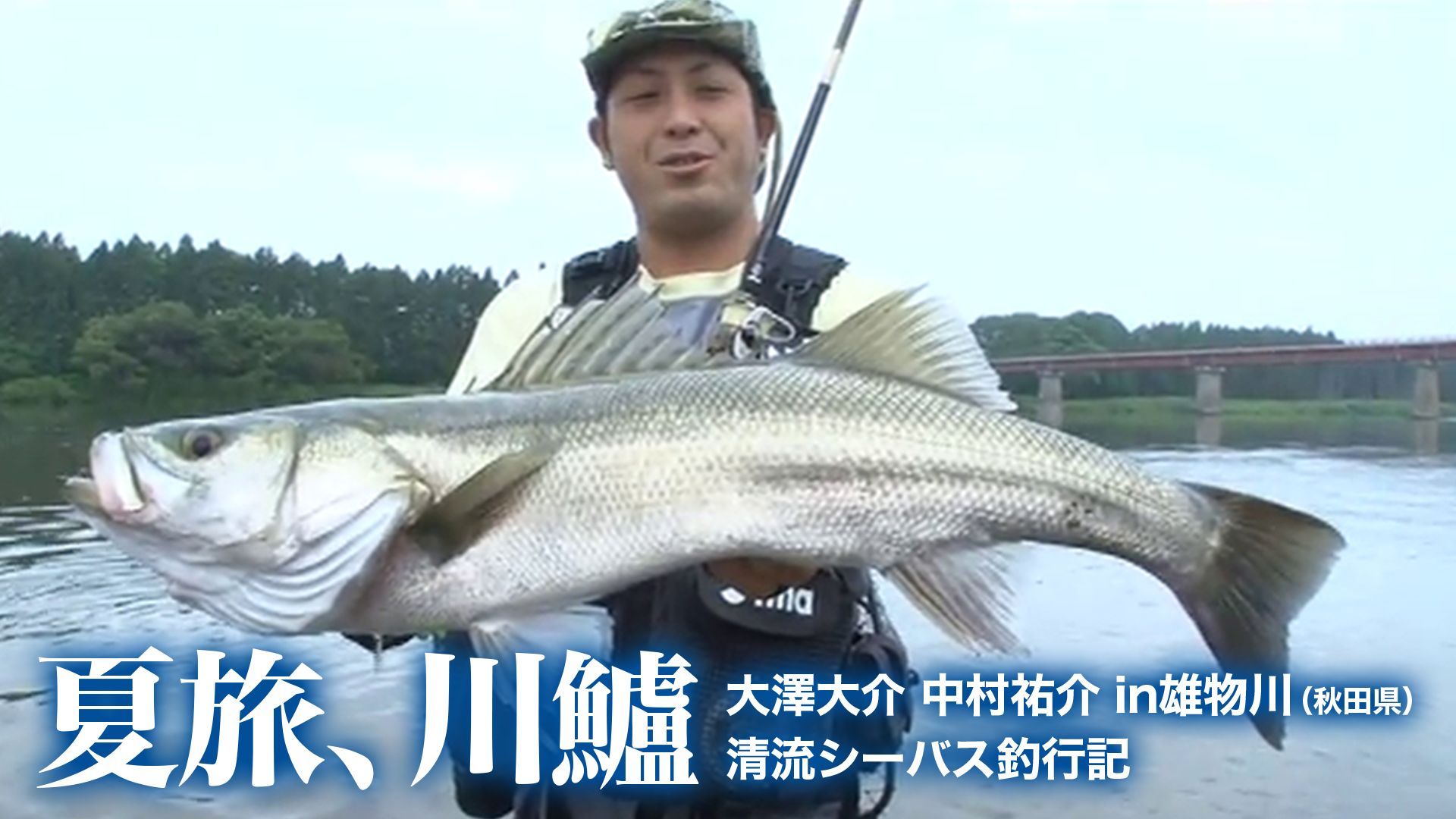 夏旅、川鱸 大澤大介 中村祐介 in雄物川(秋田県)清流シーバス釣行記