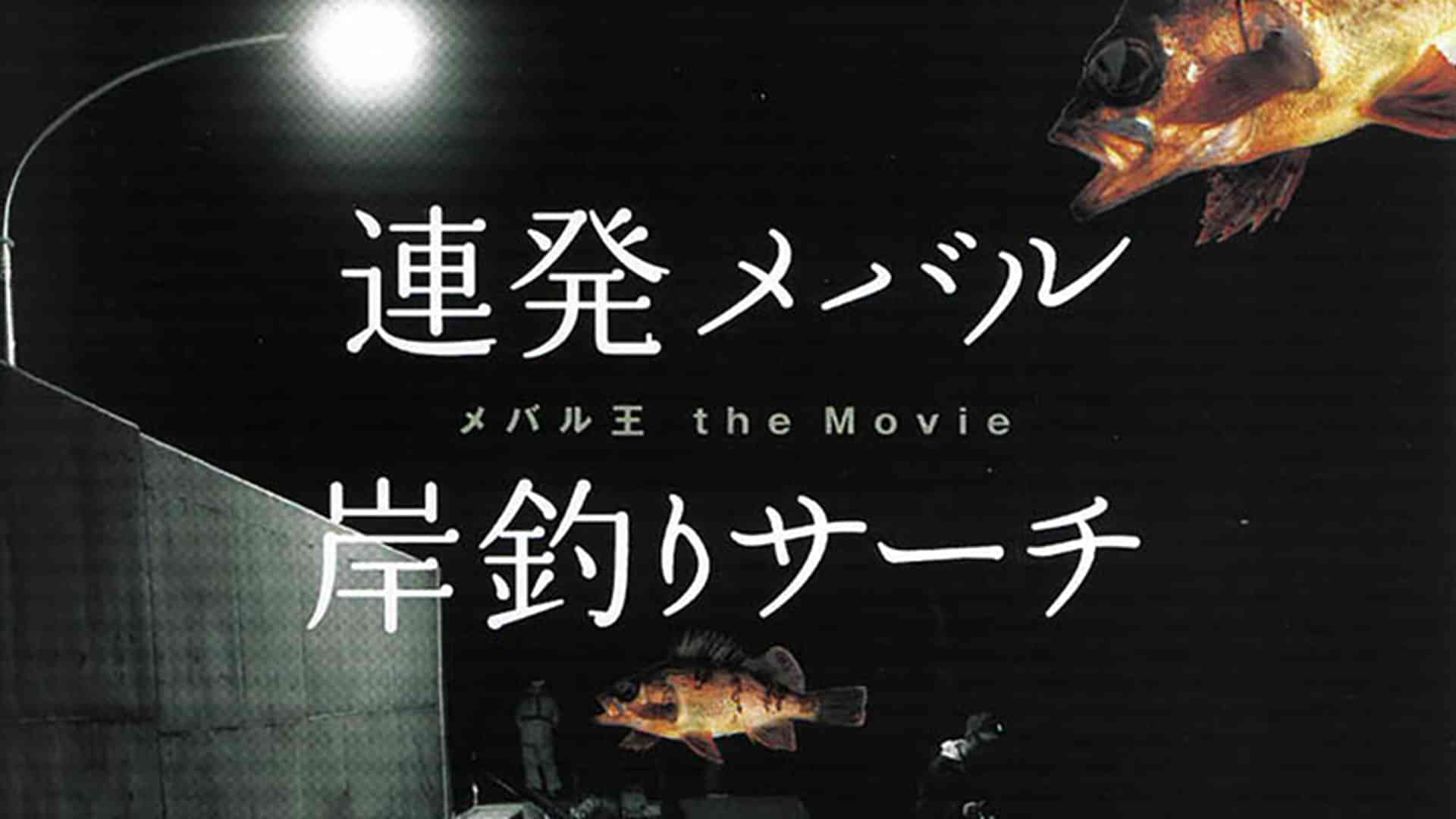 メバル王（連発メバル　岸釣りリサーチ）