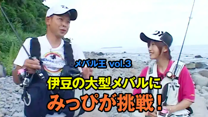 メバル王vol.3　伊豆の大型メバルにみっぴが挑戦！