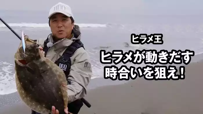 ヒラメ王　ヒラメが動きだす 時合いを狙え！