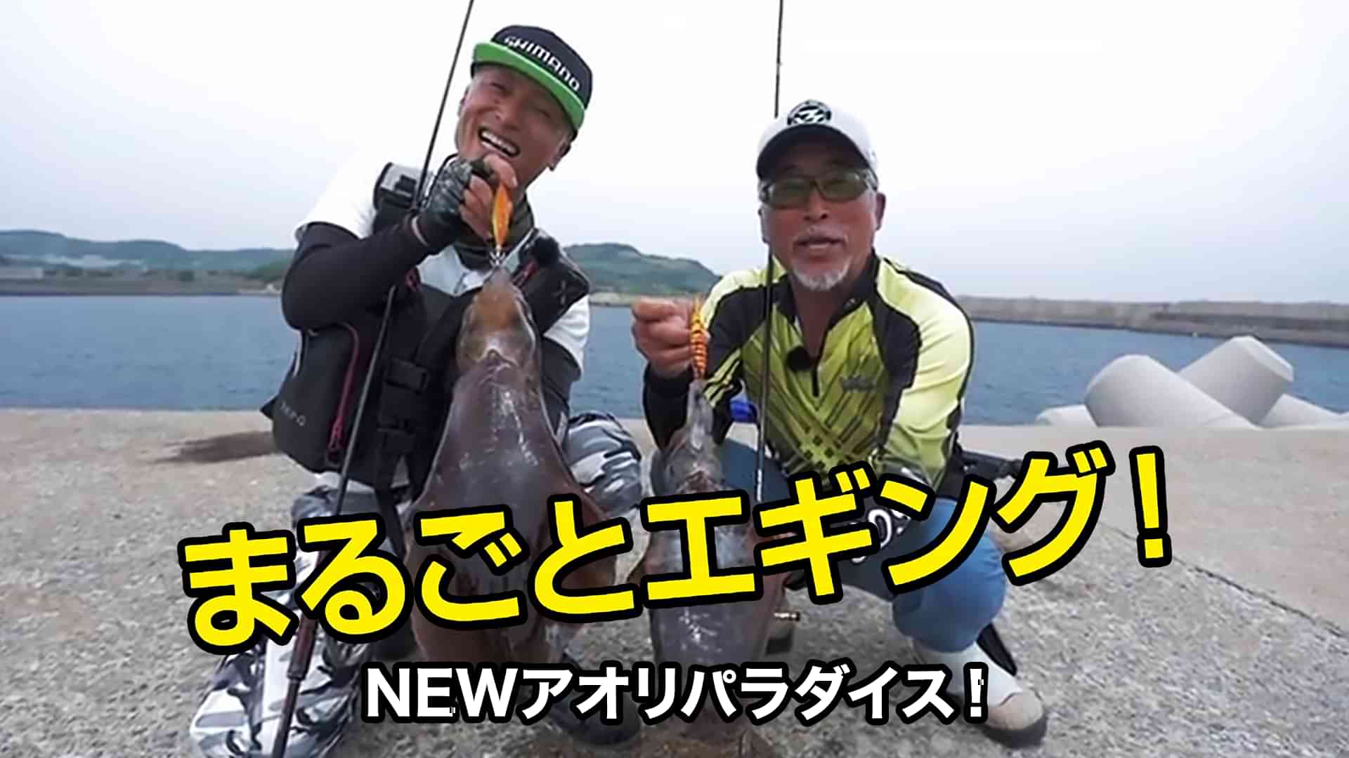 まるごとエギング！　NEWアオリパラダイス！