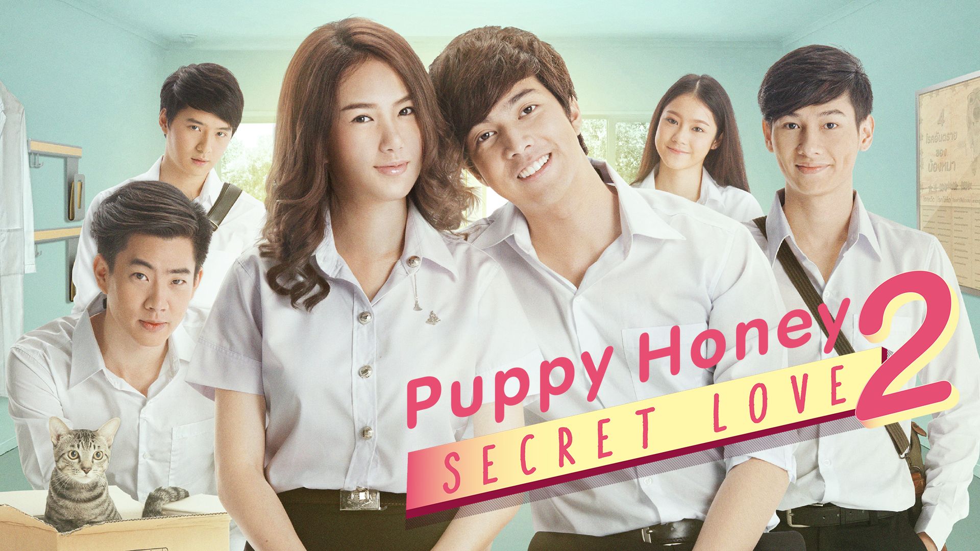 Puppy Honey2