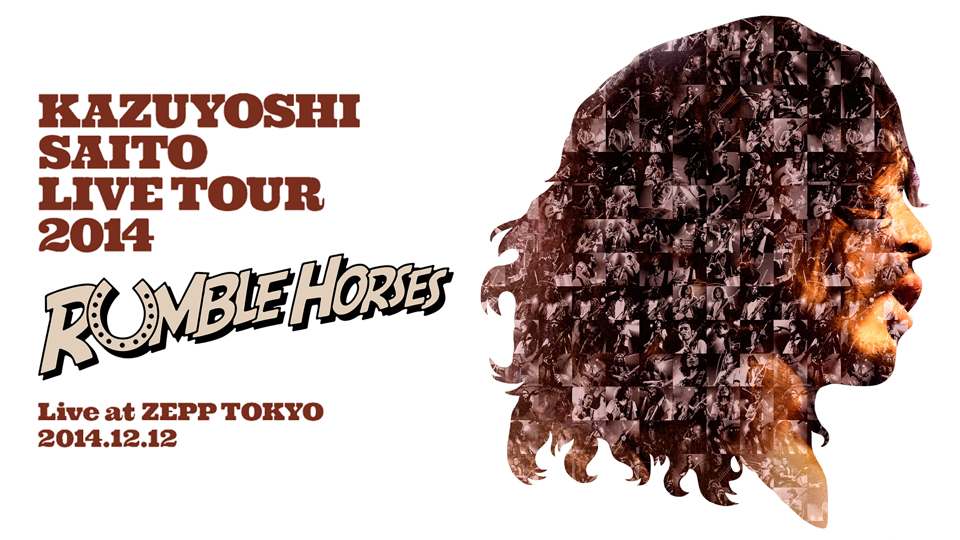 KAZUYOSHI SAITO LIVE TOUR 2014 “RUMBLE HORSES” Live at ZEPP TOKYO  2014.12.12(音楽・アイドル / 2015) - 動画配信 | U-NEXT 31日間無料トライアル
