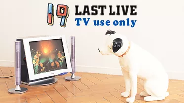 １９ LAST LIVE TV use only