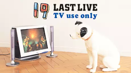 １９ LAST LIVE TV use only