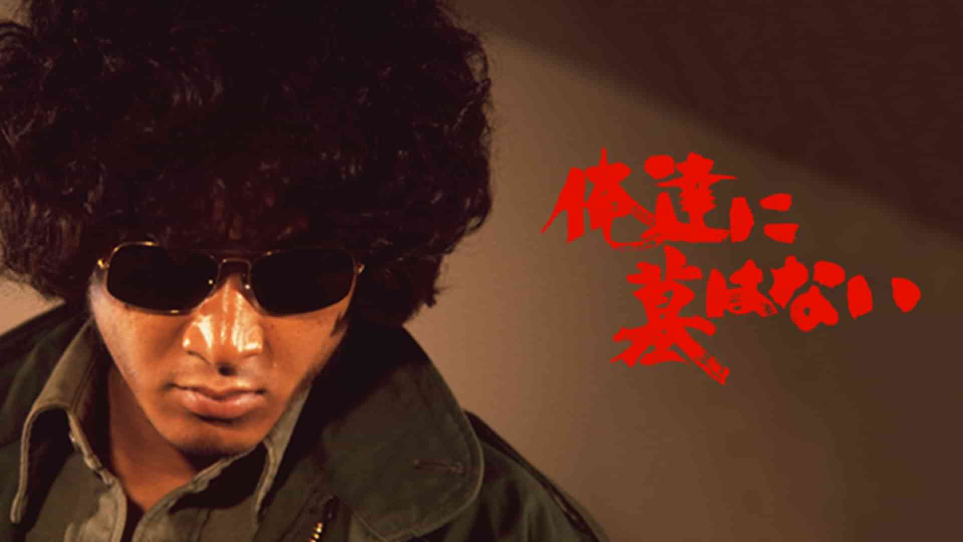 岡本麗のプロフィール 画像 写真