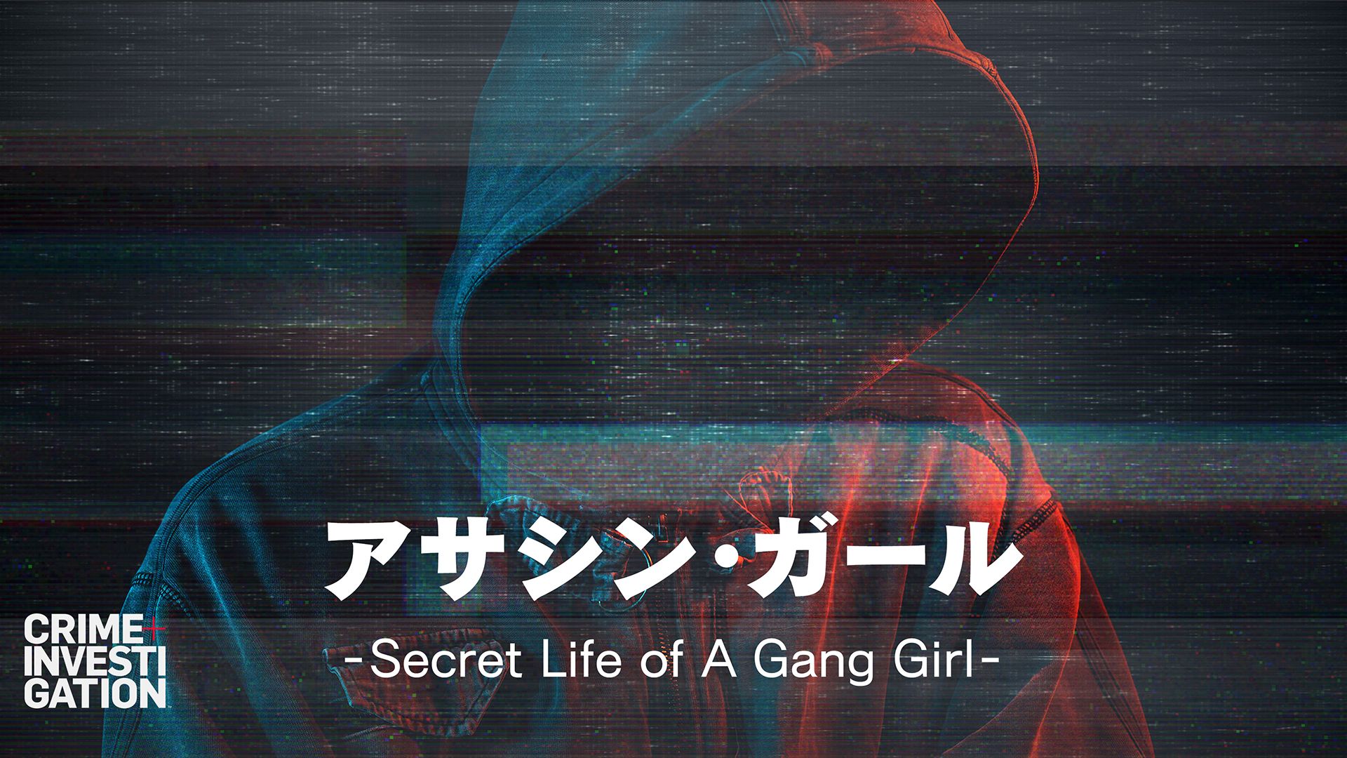 アサシン･ガール -Secret Life of A Gang Girl-