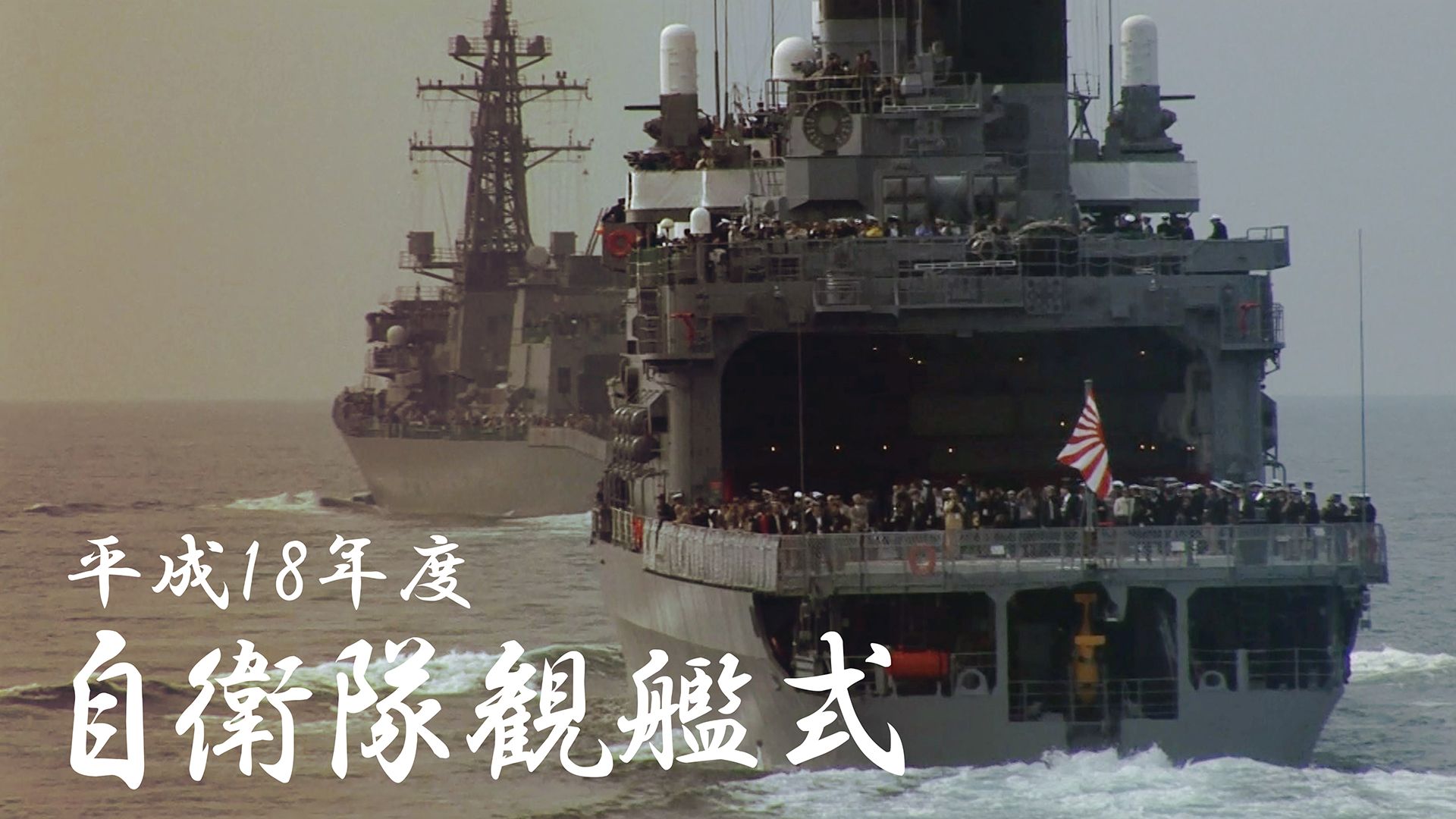 平成18年度 自衛隊観艦式