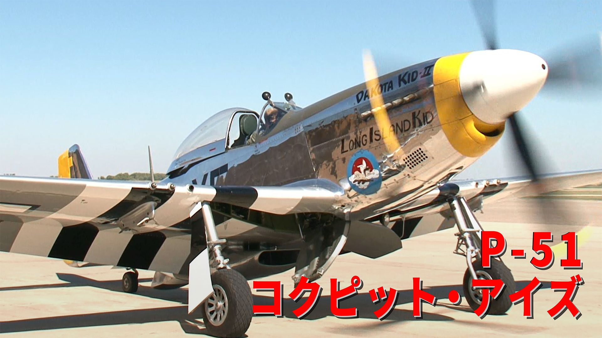 P-51 コクピット・アイズ