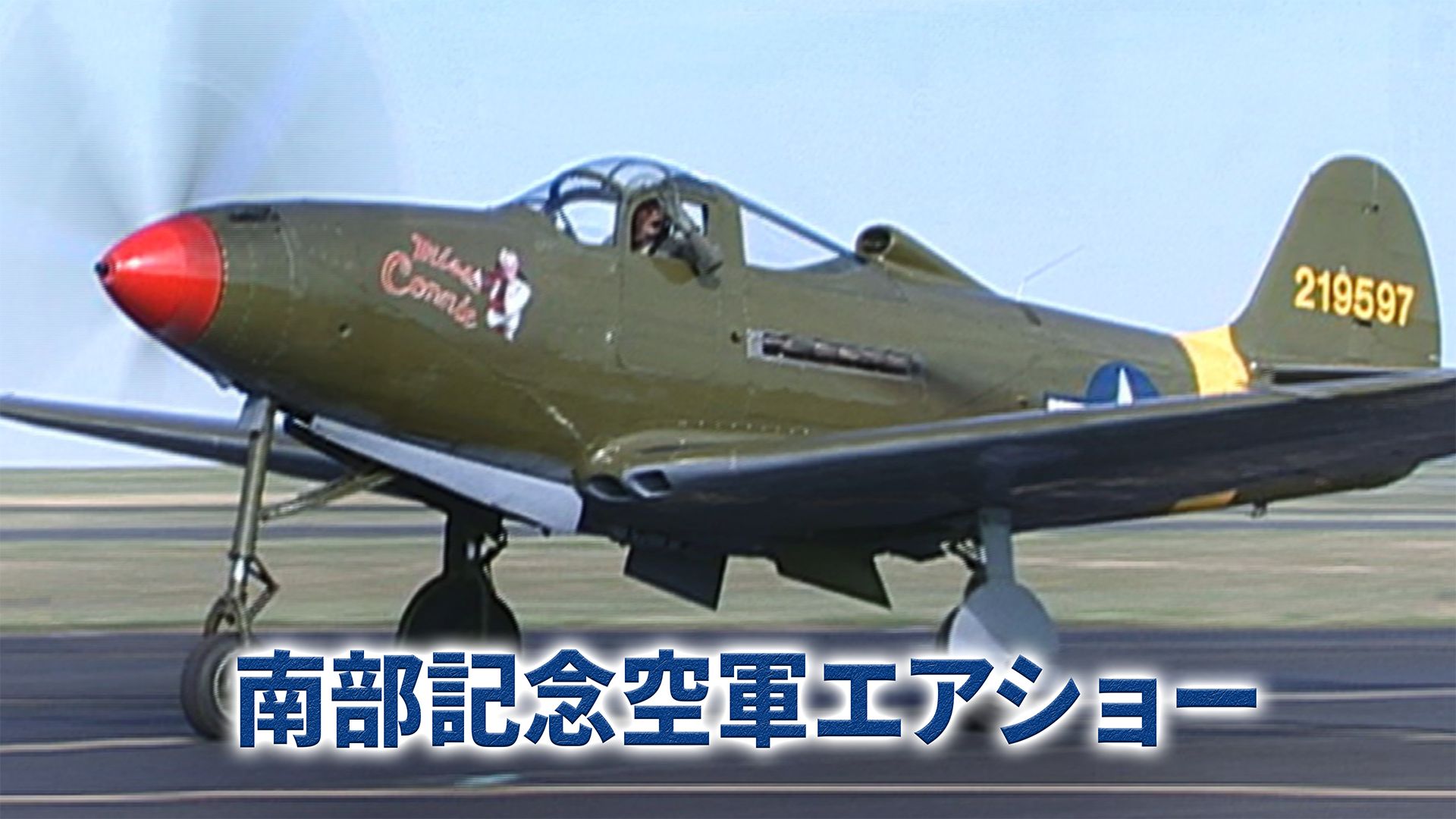 南部記念空軍エアショー