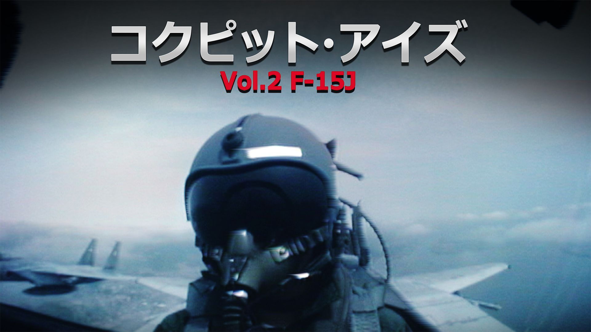 コクピット・アイズ Vol.2 F-15J