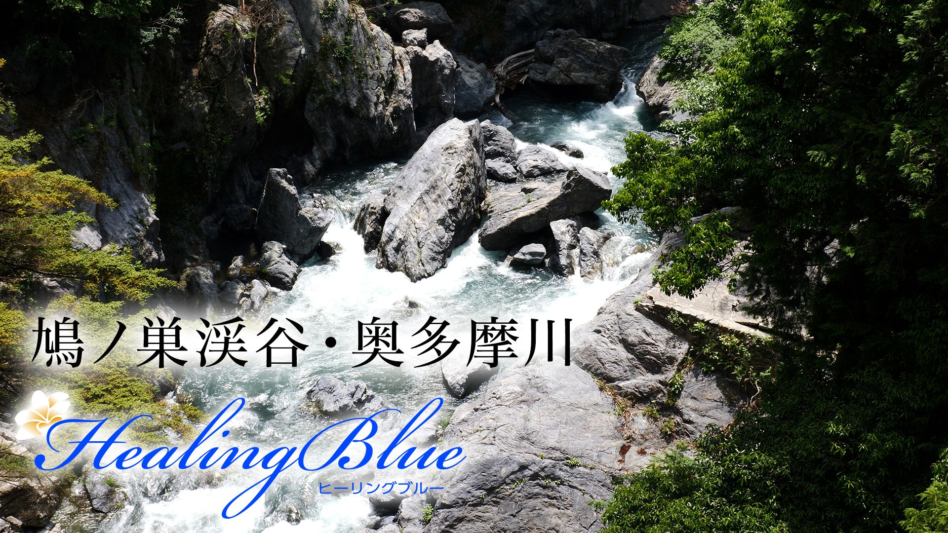 鳩ノ巣渓谷・奥多摩川【HealingBlue】