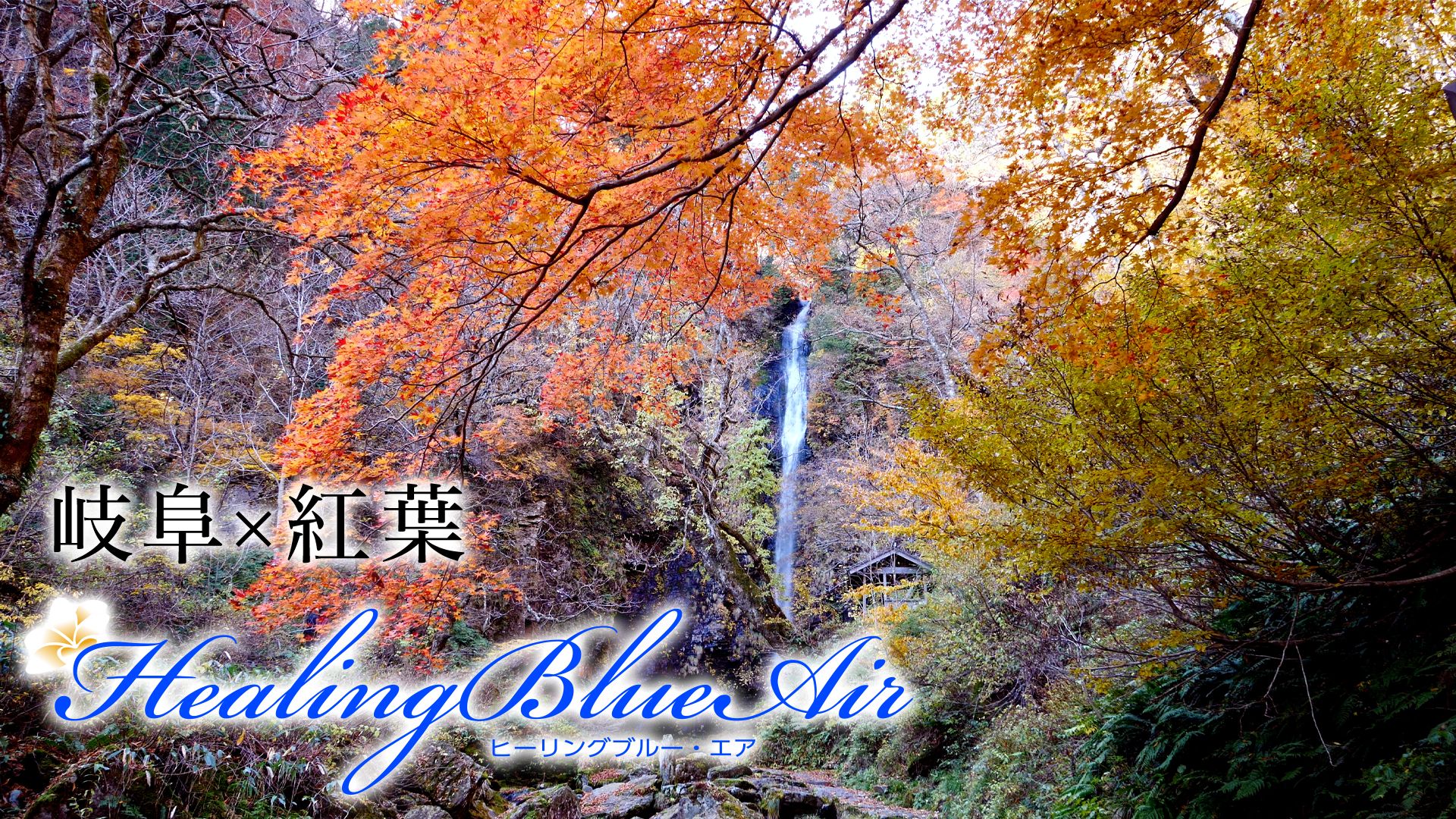 岐阜×紅葉【HealingBlue Air】