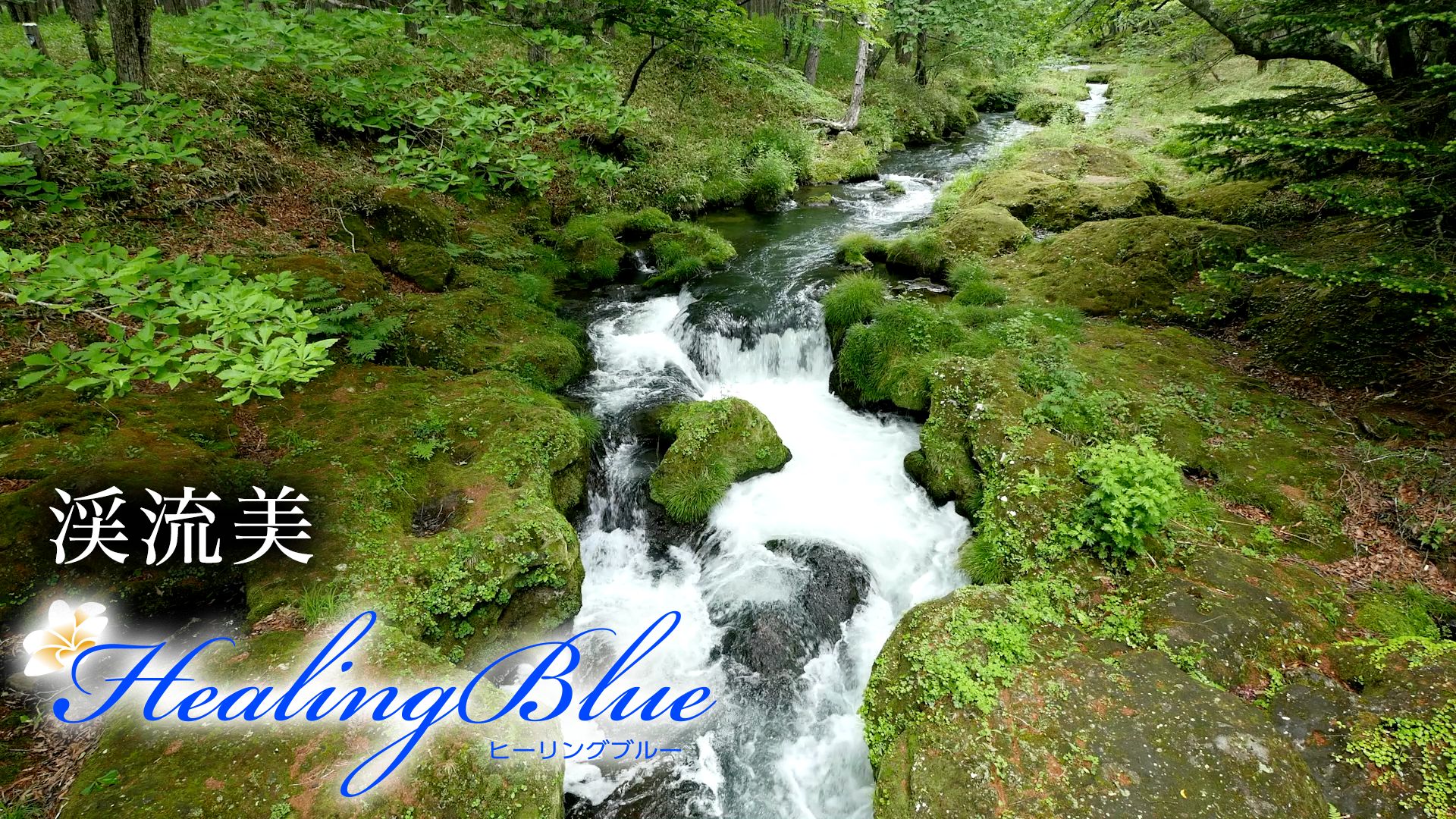 【HealingBlueヒーリングブルー】渓流美 Beauty of Mountain Streams