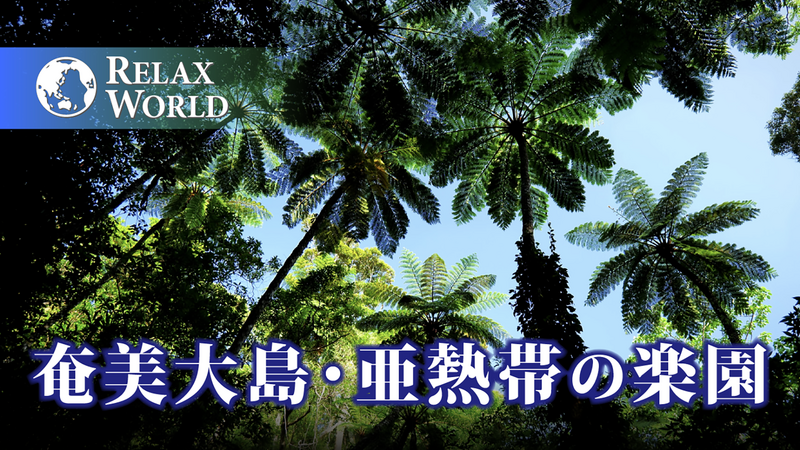 奄美大島・亜熱帯の楽園【RELAX WORLD】