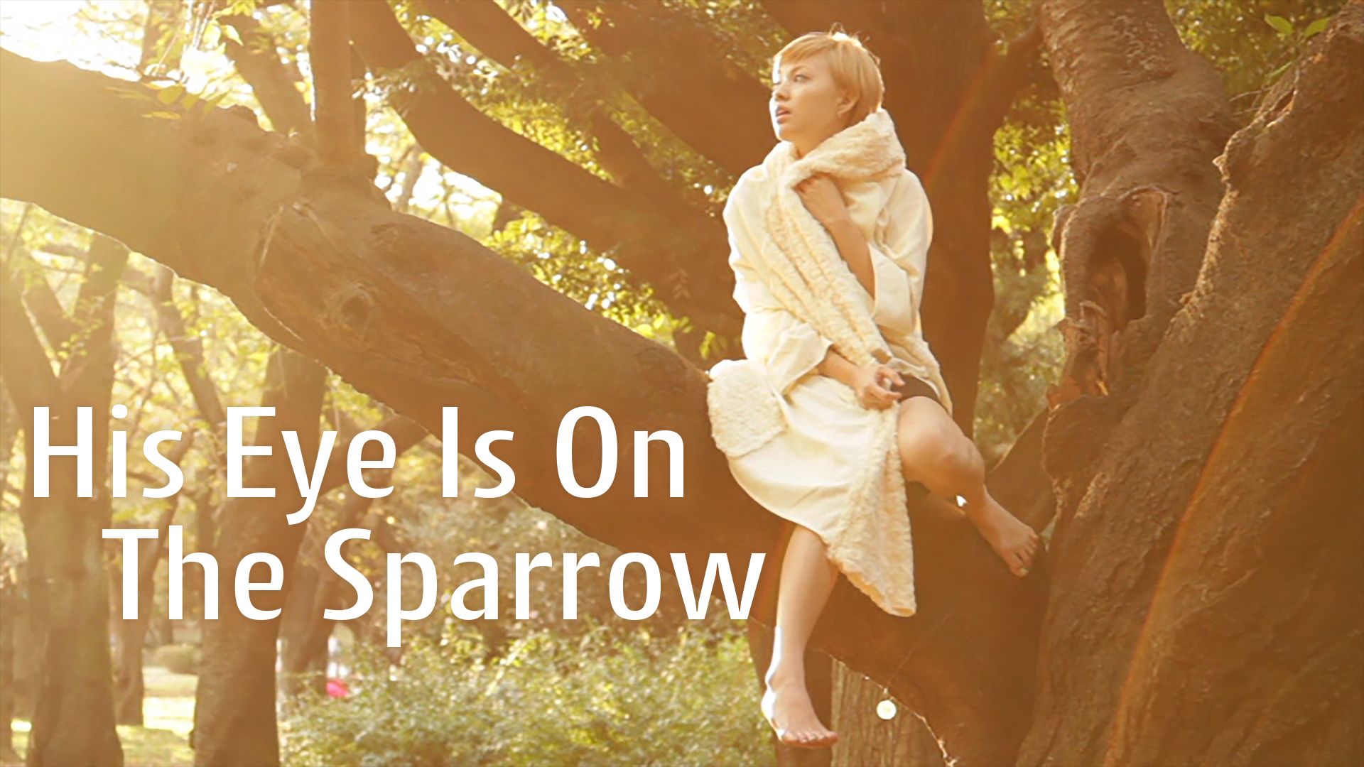 His Eye Is On The Sparrow - サムネイル