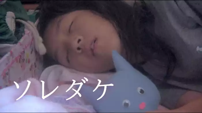 ソレダケ