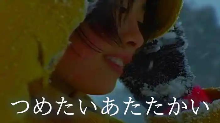 つめたいあたたかい