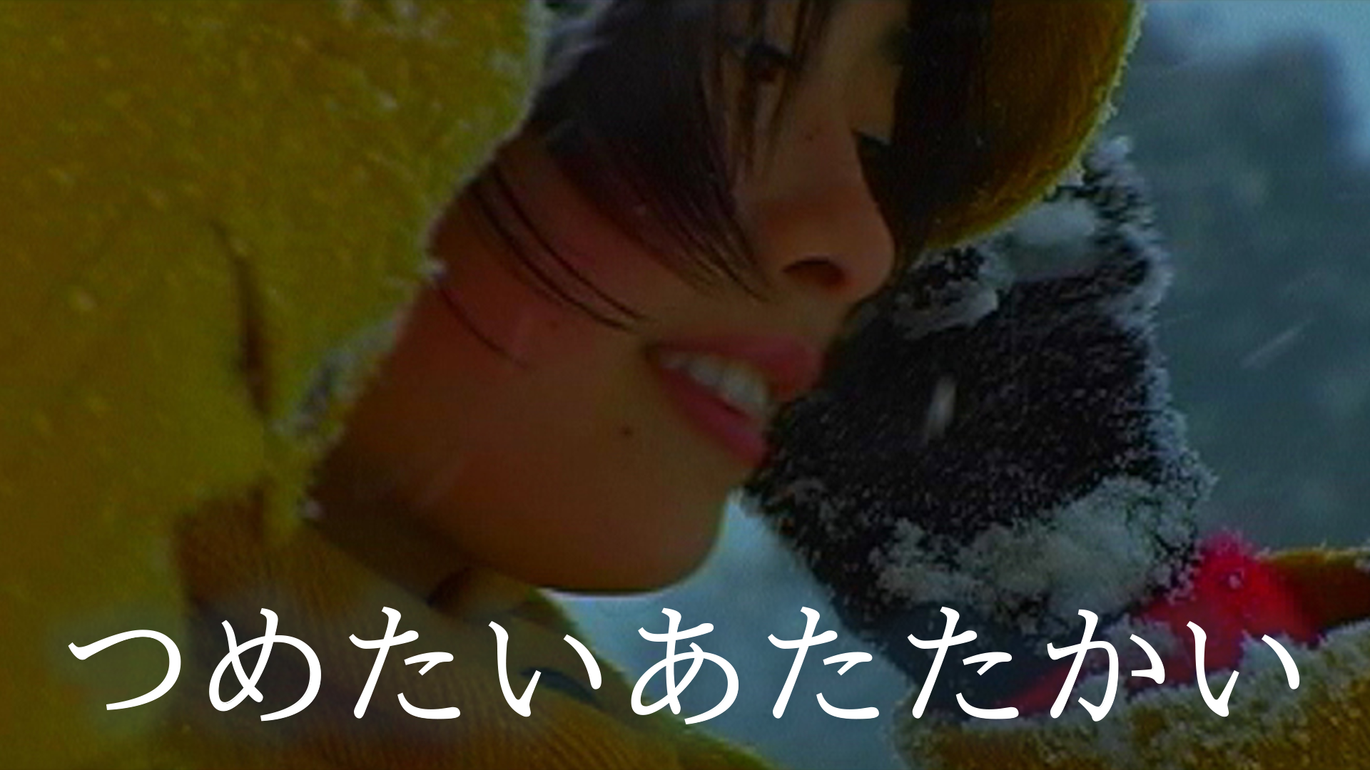 つめたいあたたかい - サムネイル